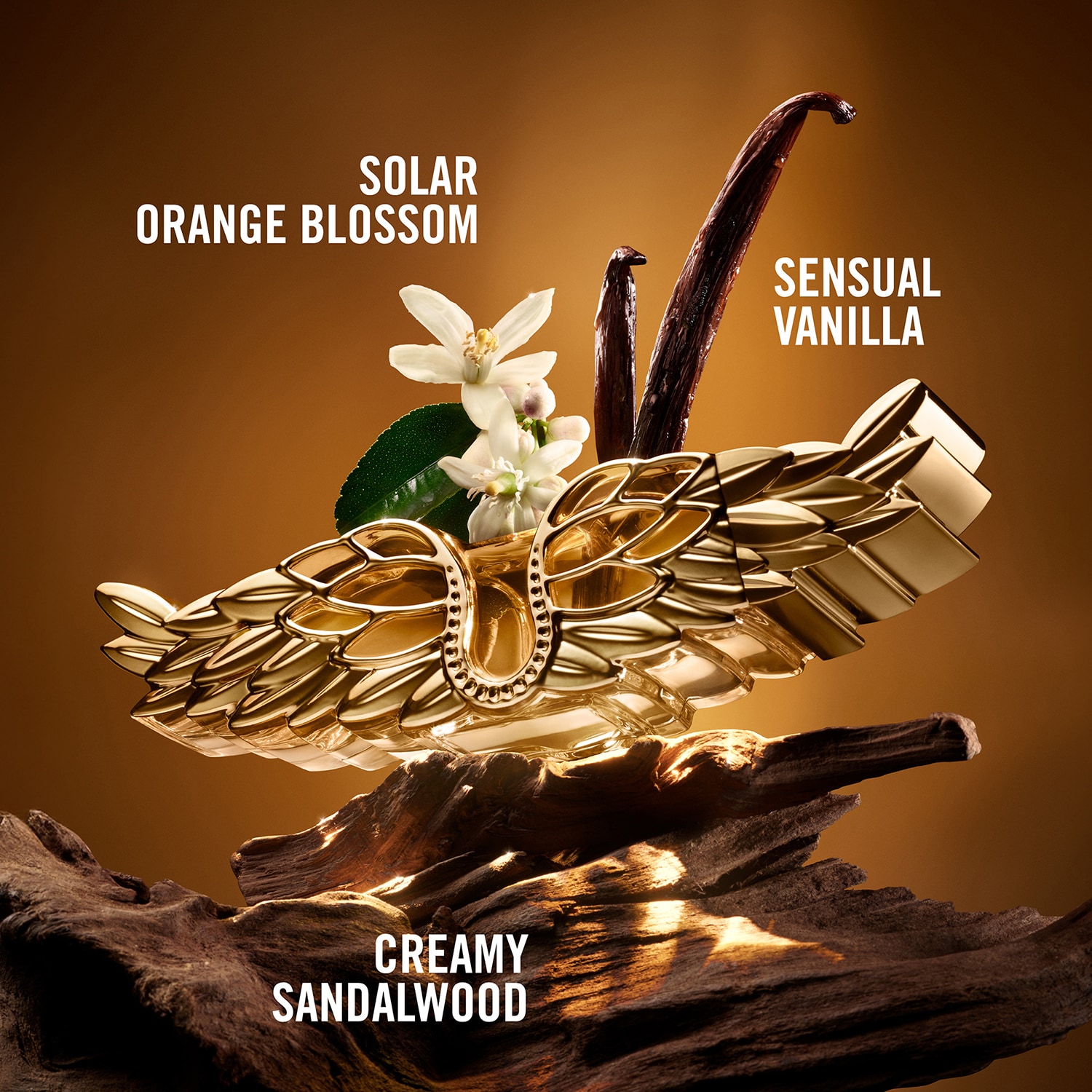 ZADIG Eau de Parfum Intense
